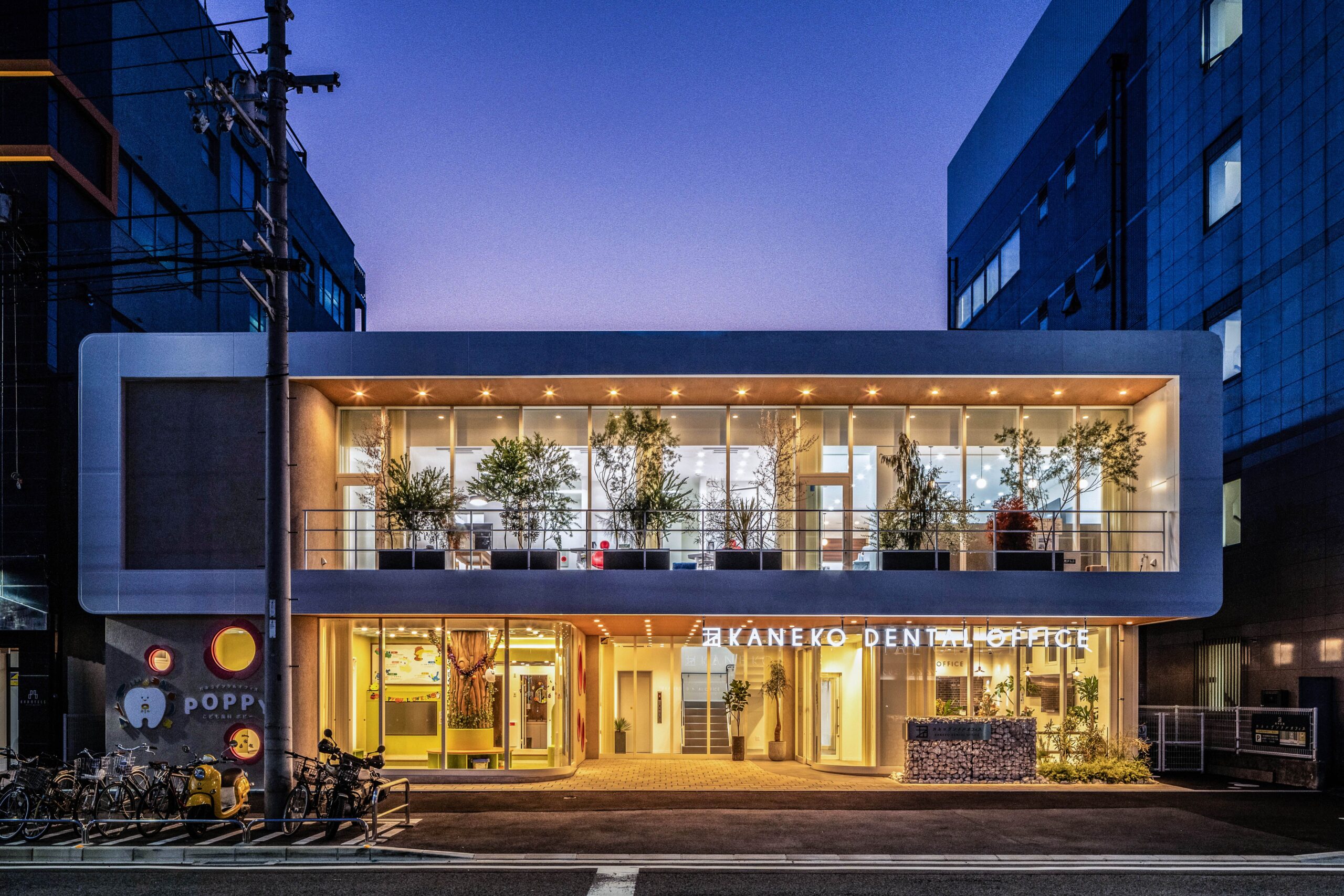 カネコデンタルオフィス 様